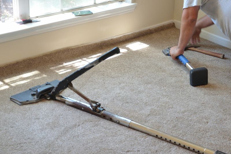 Carpet Beetle Removal